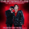 Anyway... (Radio Edit) - The Stereo Flow&Shawn Barry