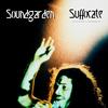 Face Pollution (Live 1991) - Soundgarden