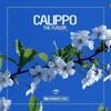 The Flavor (Club Mix) - Calippo