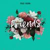 Friends - Italo Vieira
