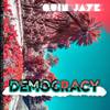 Democracy (Explicit) - Quin Jaye