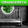 Color That (Original Mix) - The Orange