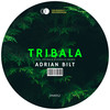 Tribala (Patrick Dandoczi Remix) - Adrian Bilt&Patrick Dandoczi