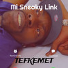 Mi Sneaky Link - Tefkemet