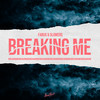 Breaking Me - Farux&5lowers&René Mueller&Tobias Topic&Alexander Michael Tidebrink Stomberg&Molly Irvine