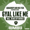 Gyal Like Me (Wiwek Remix) - Aquadrop&Big Fish&stush