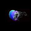 Wizard Island - Eprom