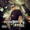 B.I.G Omeezy (Explicit) - Big Omeezy