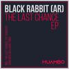 The Last Chance (Fun Mix) - BLACK RABBIT (AR)