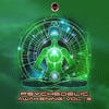 Psychedelic Awakening, Vol. 3 (Dj Mix) - Doctor Spook