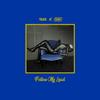 Follow My Lead(Bonus Track)(feat. SNI) (Explicit) - RLee&SNI