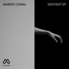 Sentient - Marino Canal