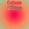 Cultivate Whose - Loula Tono