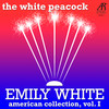 Addio Roma, addio - Emily White&Yehudi Wyner