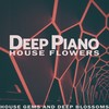 Like a Movie (Cinema Deep Mix) - Flowers & Butterfly