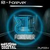 Forever (Original Mix) - R1