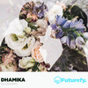 Illusions (Original Mix) - Dhamika