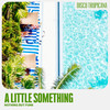A Little Something - Nothing But Funk