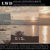 1 YEAR (Explicit) - LWD