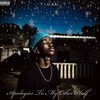 Apologies To My Other Half (Explicit) - T.I.D KÀI