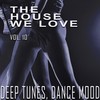 Passaic Falls (Underground Grooves Mix) - La Deep