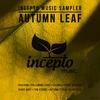 Lustra (Original Mix) - Tom Strobe&Autumn Storm