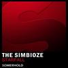 Starfall (Original Mix) - The Simbioze