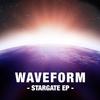 Mushroom Planet - Waveform&Fasma
