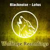 Lotus (Original Mix) - Black Noise
