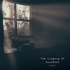My Love at a Distance (Original Mix) - SounEmot&InStars&Elissandro
