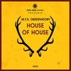 I Know (Original Mix) - M.F.S: Observatory