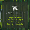 Karma - Tippa Irie&The Elementz