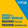 Delicious(Instrumental) (纯音乐) - Steelo&Danny Wheeler