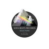 The Arena of Aesthetic Elaboration (2016 Mix) - globular