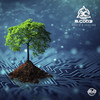 Roots & Feeling - Blue Cod3