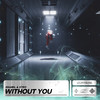Without You - Shamil&Xtec