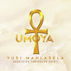 A Dance of Life - Vusi Mahlasela&Maduvha