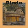 Bindu - Chameleon Music