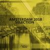 Half Moon (Extended Mix) - The Avains