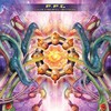 Novatech - F.F.T