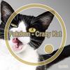 Crazy Kat (Original Mix) - Fakdem