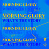 ㅁㄴㄱㄹㄹ (Morning Glory) - IndEgo Aid