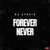 Forever Never (Extended Mix) - DJ Spacig