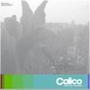 Miss You (DJ Mourad Remix) - Calico