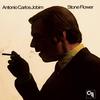 Tereza My Love - Antonio Carlos Jobim