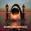 Palantir - Brandon Hombre