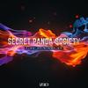 We Are The Stars - Secret Panda Society&Jessica Main