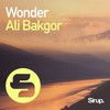 Wonder - Ali Bakgor