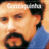 Com A Perna No Mundo - Gonzaguinha