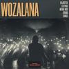 Wozalana (feat. Uyandi M, Samka & Lepara) - DaJiggySA&Mfana Mdu&Lepara&Uyandi M&SamKa